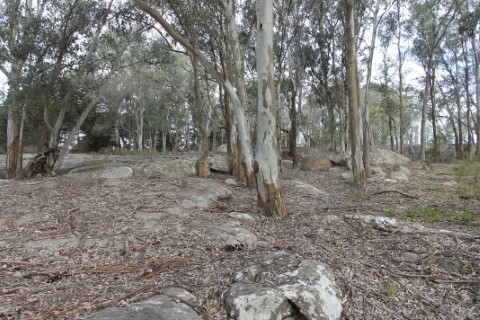 Campo en venta en Maldonado